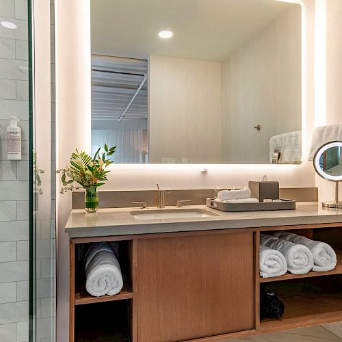 A modern bathroom with a glass shower, lighted mirror, sink, and under-counter storage with rolled towels and a small plant on the counter.