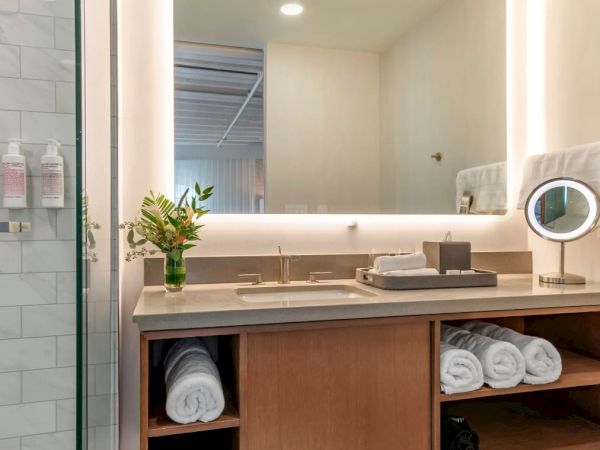 This image shows a modern bathroom with a vanity mirror, sink, neatly rolled towels on shelves, a plant, toiletries, and a glass shower door.