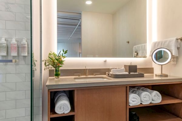 This image shows a modern bathroom with a vanity mirror, sink, neatly rolled towels on shelves, a plant, toiletries, and a glass shower door.