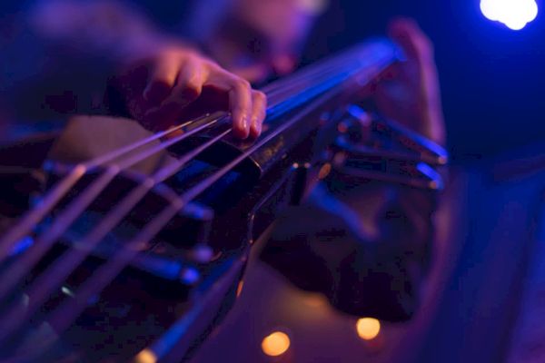 A close-up of a person playing a string instrument, likely a double bass or bass guitar, under dramatic blue lighting.