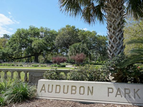 The image shows the entrance sign for Audubon Park with lush greenery, trees, and a palm tree in the background under a blue sky.