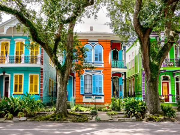 Colorful houses with vibrant facades stand behind large trees and greenery, creating a lively and picturesque street scene.