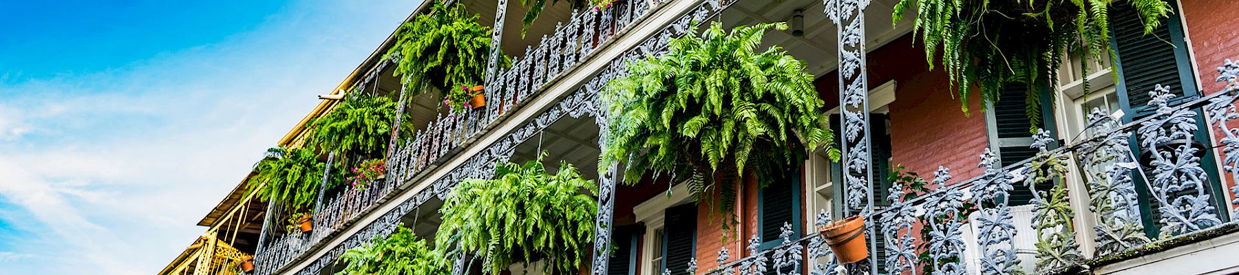 An ornate multi-story building covered in white ironwork balconies, overflowing with lush green hanging ferns under a bright blue sky.