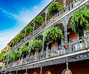 An ornate multi-story building covered in white ironwork balconies, overflowing with lush green hanging ferns under a bright blue sky.