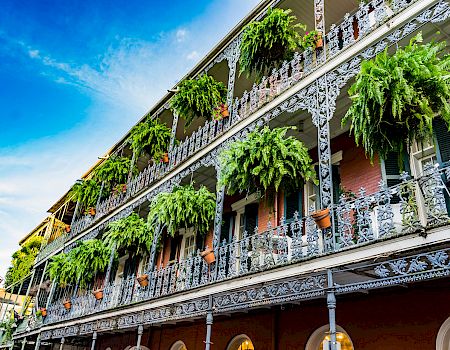 An ornate multi-story building covered in white ironwork balconies, overflowing with lush green hanging ferns under a bright blue sky.