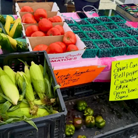A produce stall with baskets of red tomatoes, corn, cucumbers, green onions, and bell peppers, for sale at a market.