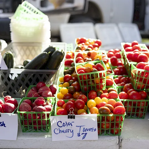 At an outdoor farmers market stall, bins of radish, tomatoes, cherries, and cucumbers sit with price tags.